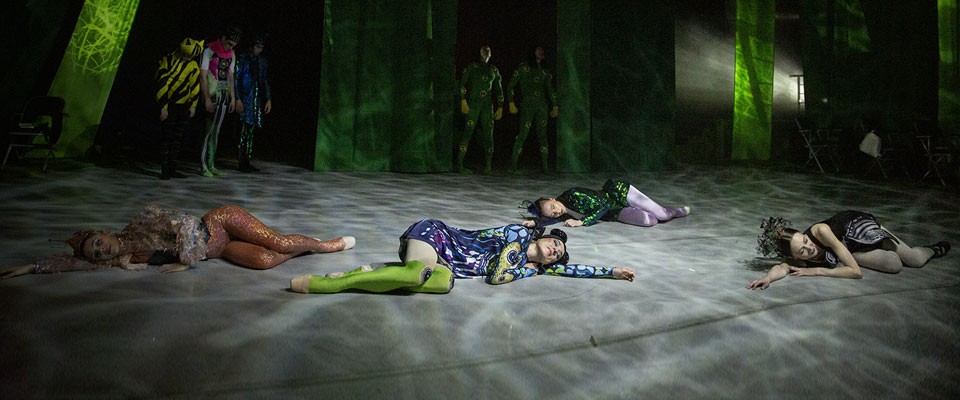 Балет Муха-Цокотуха. Школьные годы